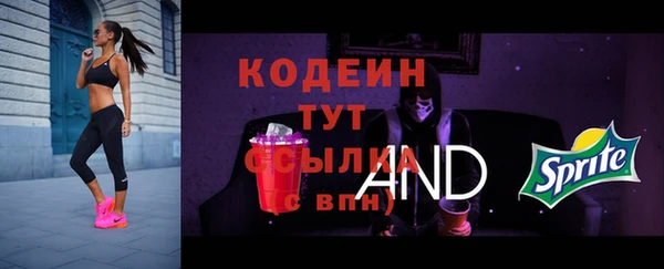 эйфоретик Аркадак