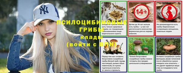 эйфоретик Аркадак