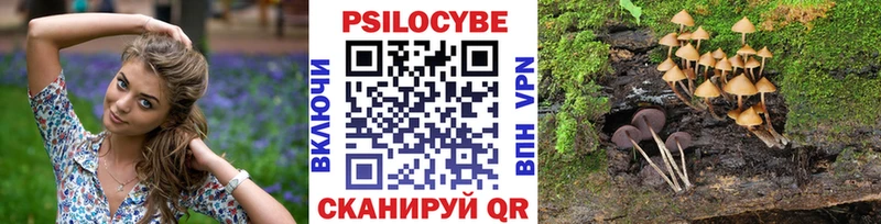 Галлюциногенные грибы Magic Shrooms  площадка Telegram  Усмань 